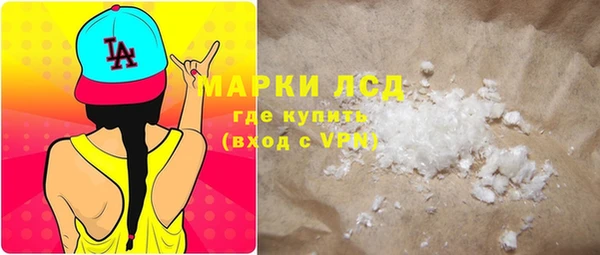 шишки Каменногорск