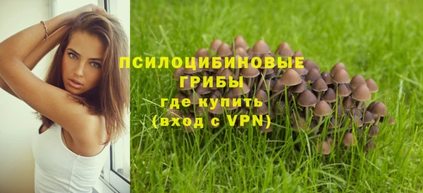 Альфа ПВП Армянск