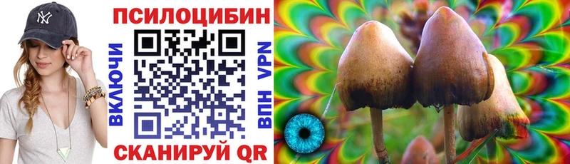 Псилоцибиновые грибы Cubensis  MEGA вход  Армянск 